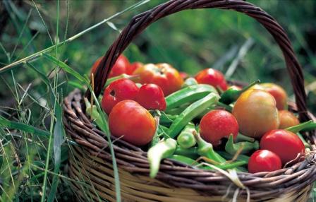 Food Basket in Crete