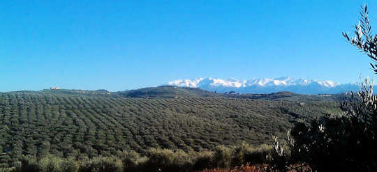 Terra Creta Estate in Kolymvari, Chania