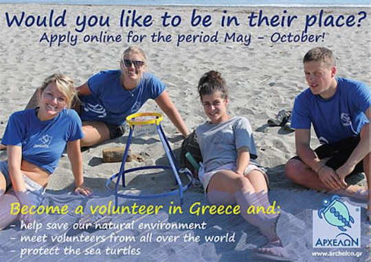 Turtle Volunteers in Crete