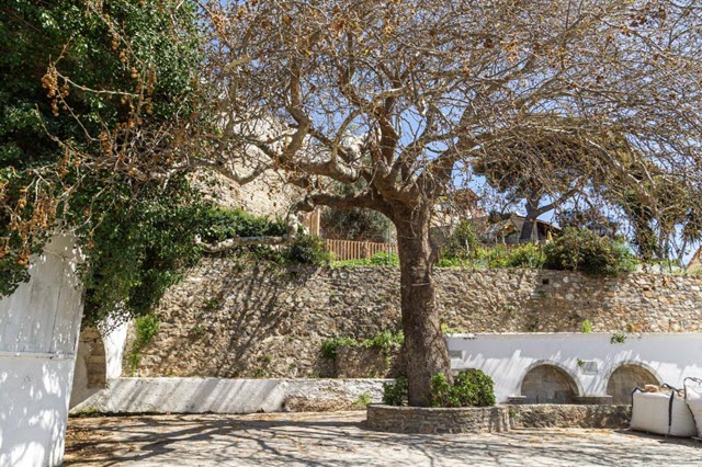 Oasis Mountain House Courtyard