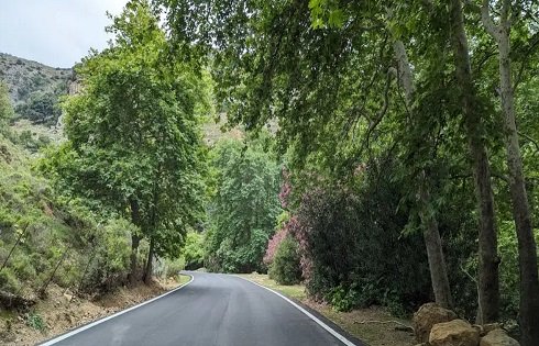 Leafy ravine on the road to the village