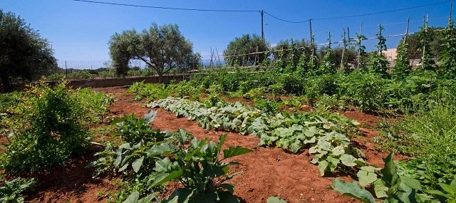 Skamagkas Apartments Garden, Stavros Beach Crete